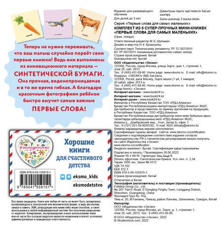 Фотография книги "Комплект из 6 супер-прочных мини-книжек «Первые слова для самых маленьких»"