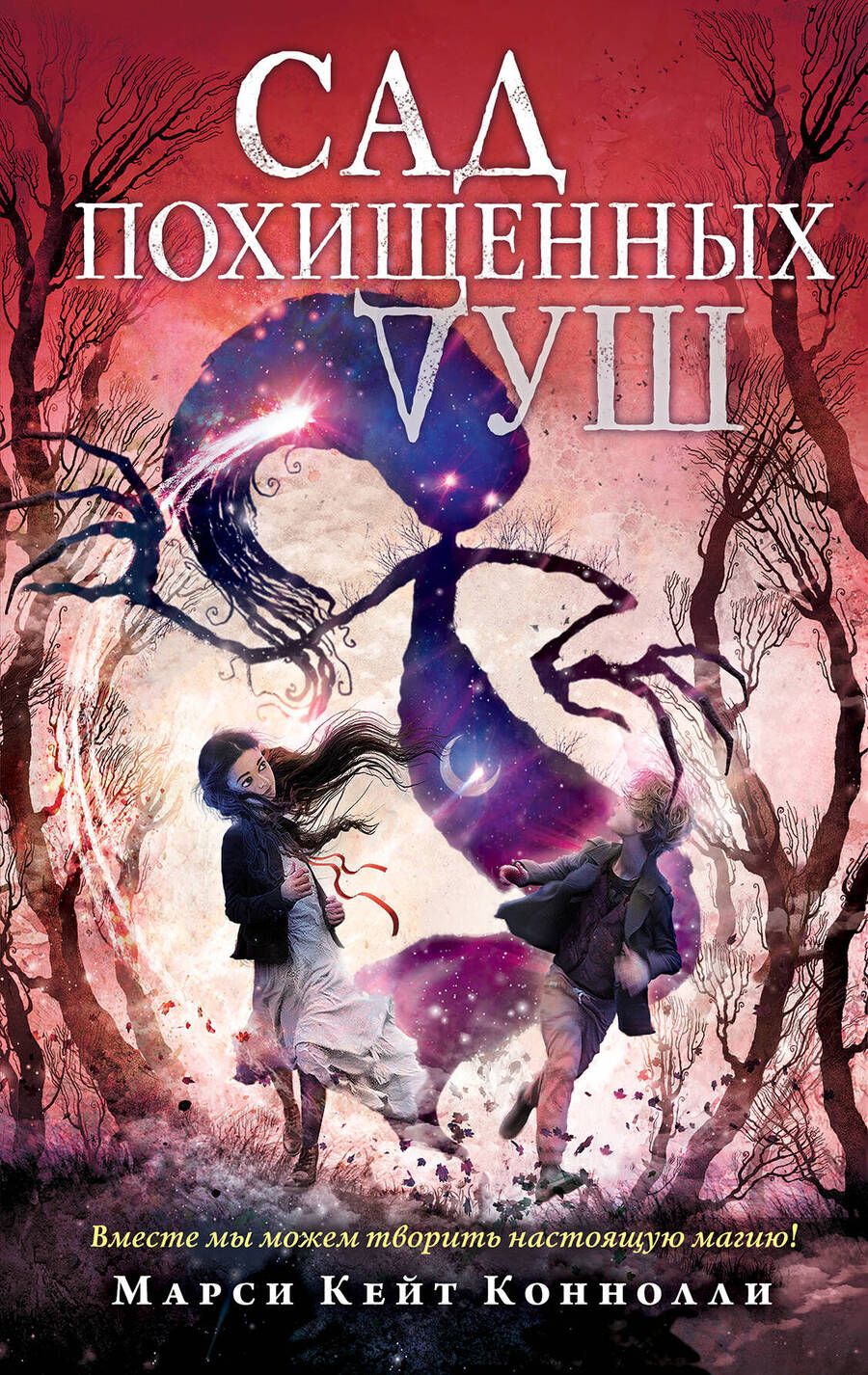 Обложка книги "Коннолли: Сад похищенных душ"