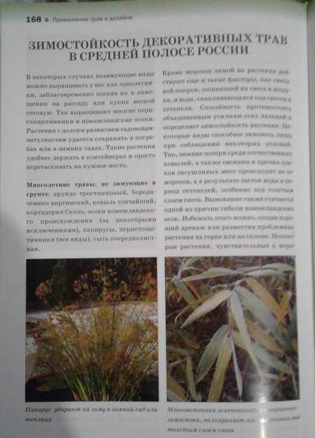 Фотография книги "Коновалова, Шевырева: Декоративные травы. Атлас-определитель"