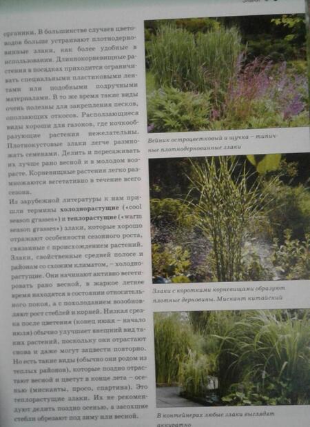 Фотография книги "Коновалова, Шевырева: Декоративные травы. Атлас-определитель"