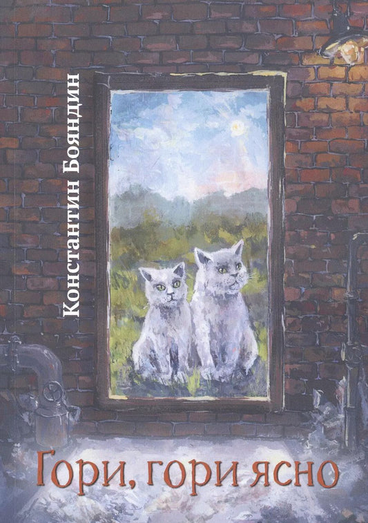 Обложка книги "Константин Бояндин: Гори, гори ясно"