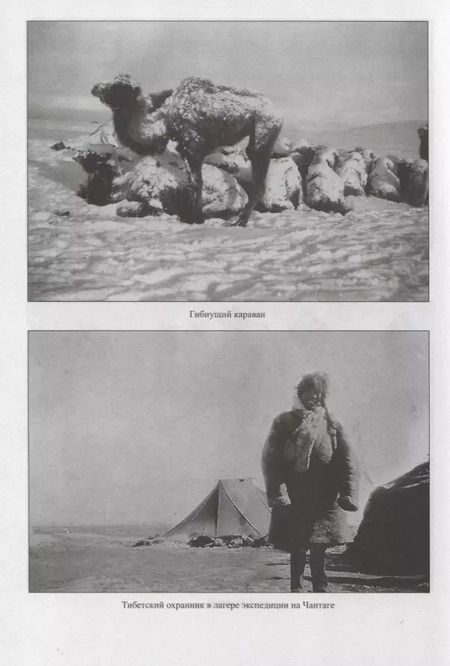 Фотография книги "Константин Николаевич: Развенчанный Тибет"