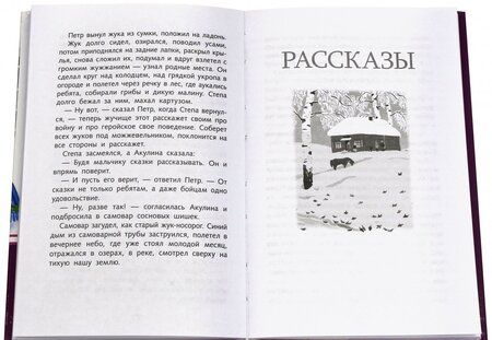 Фотография книги "Константин Паустовский: Растрепанный воробей"
