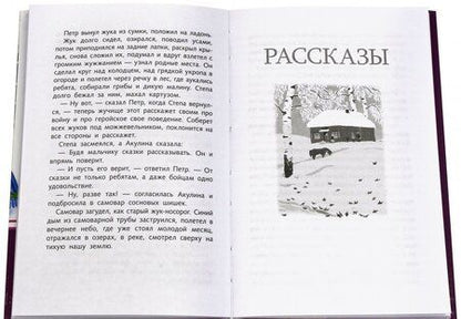 Фотография книги "Константин Паустовский: Растрепанный воробей"