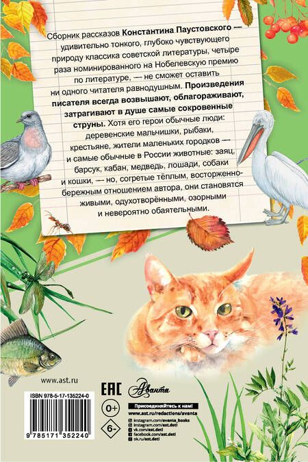 Фотография книги "Константин Паустовский: Заячьи лапы"