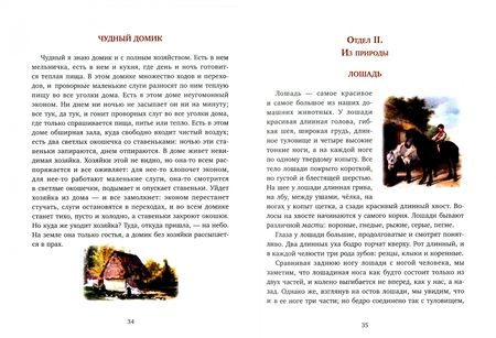 Фотография книги "Константин Ушинский: Всякой вещи свое место"