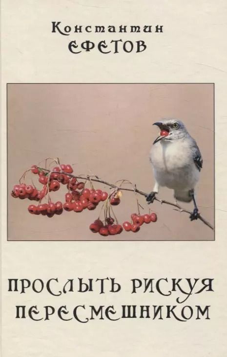 Обложка книги "Константин Ефетов: Прослыть рискуя пересмешником."