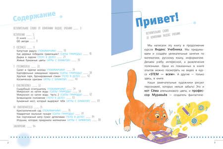 Фотография книги "Корнеев: STEM"