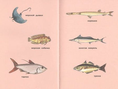 Фотография книги "Корнелия Функе: Свинья для пиратов"