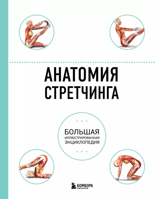 Обложка книги "Коробкина, Татаренко: Анатомия стретчинга. Большая иллюстрированная энциклопедия"