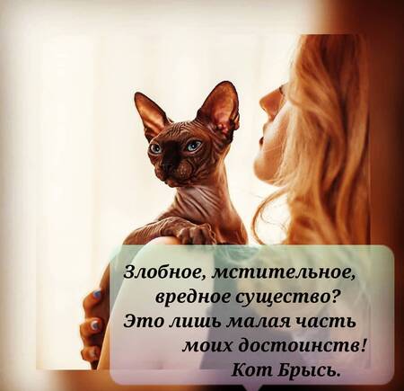 Фотография книги "Коротаева: Ну, "братец", погоди!"