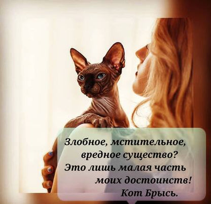 Фотография книги "Коротаева: Ну, "братец", погоди!"