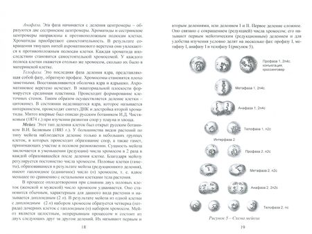 Фотография книги "Корягина, Корягин: Ботаника. Учебное пособие"