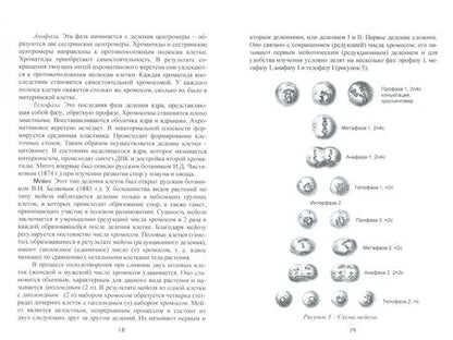 Фотография книги "Корягина, Корягин: Ботаника. Учебное пособие"