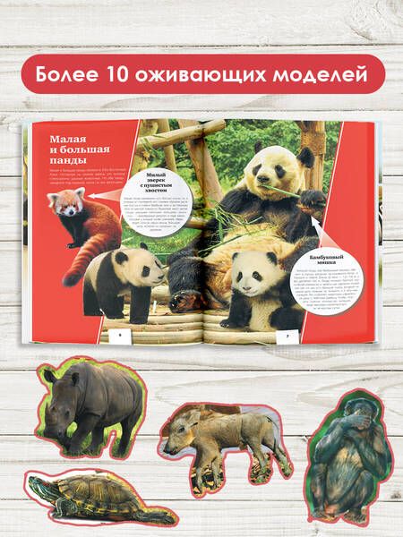 Фотография книги "Кошевар, Папуниди: Животные"