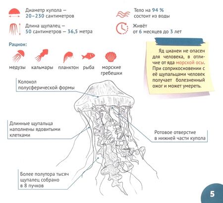 Фотография книги "Кошевар: Подводный мир"