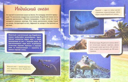 Фотография книги "Кошевар: Земля"