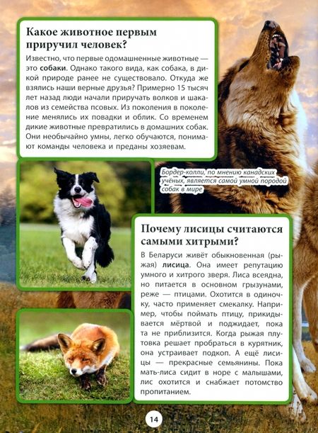 Фотография книги "Кошевар: Животные"