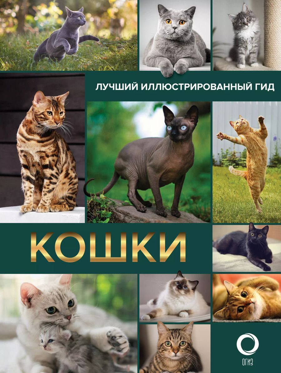Обложка книги "Кошки. Лучший иллюстрированный гид"