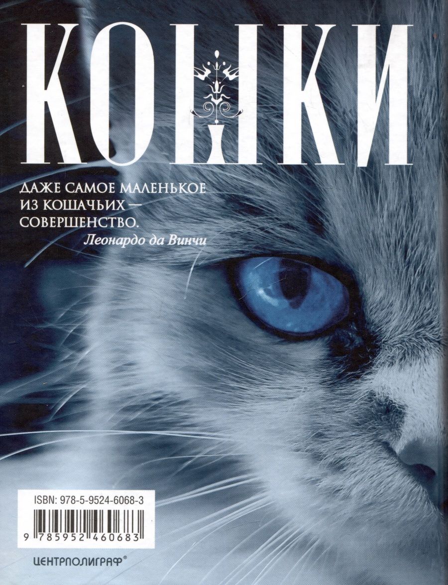 Обложка книги "Кошки. Мистические истории, легенды и поверья. Коты целители, предсказатели и маги"
