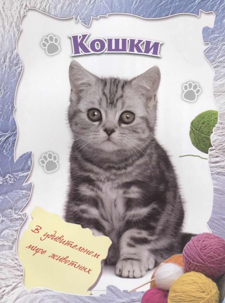 Обложка книги "Кошки"