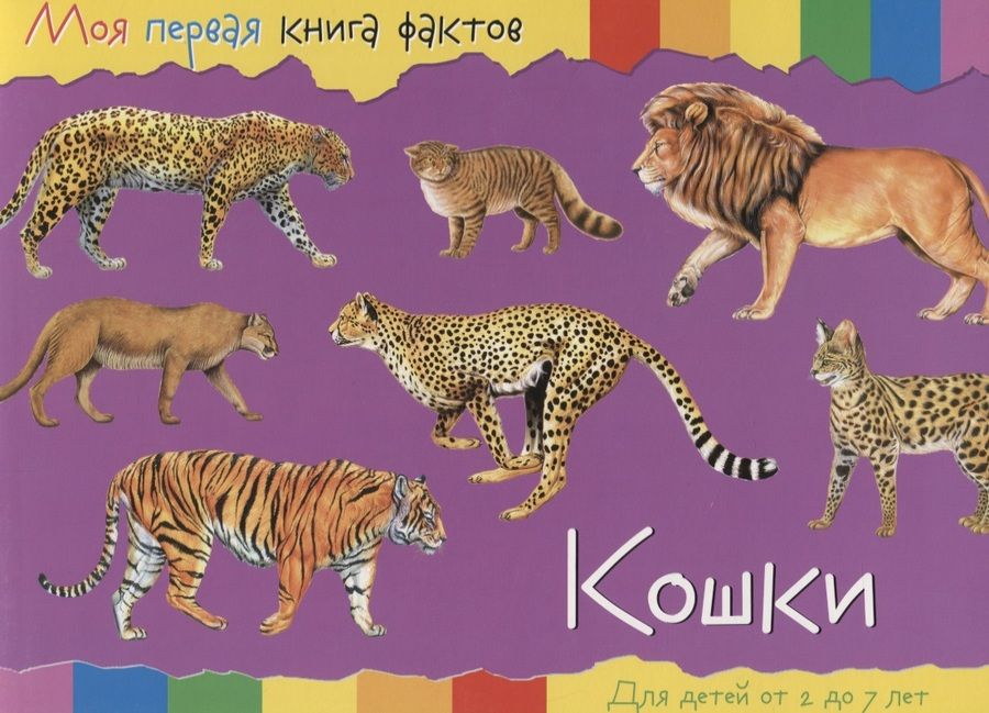 Обложка книги "Кошки (2-7 лет) (+ накл.) (мМояПервКнФакт)"