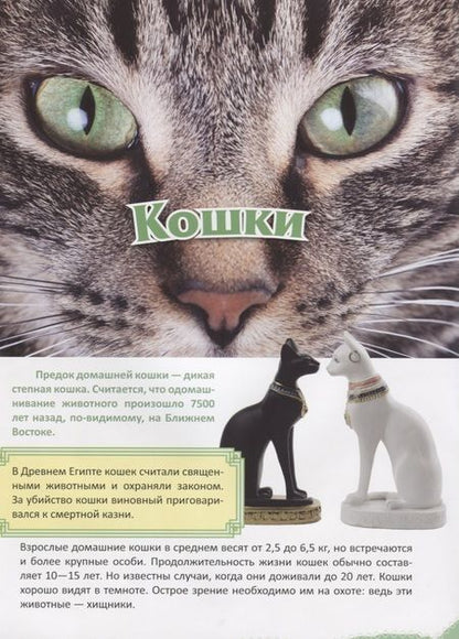 Фотография книги "Кошки"