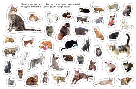 Фотография книги "Кошки"