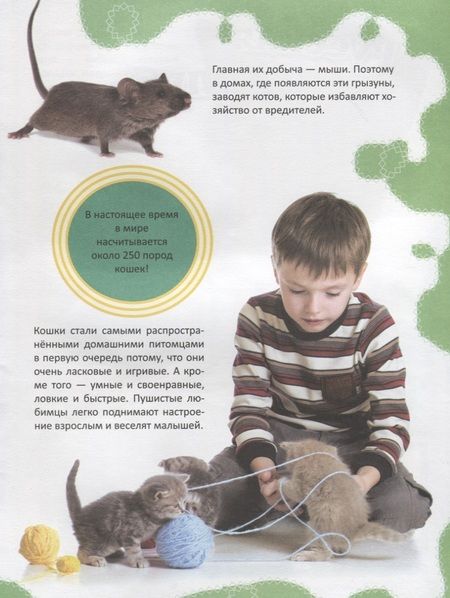 Фотография книги "Кошки"