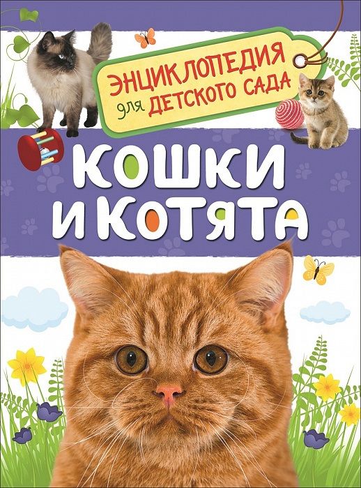 Обложка книги "Кошки и котята. Энциклопедия для детского сада"
