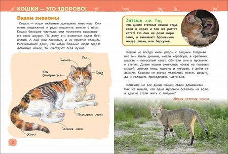 Фотография книги "Кошки и котята. Энциклопедия для детского сада"