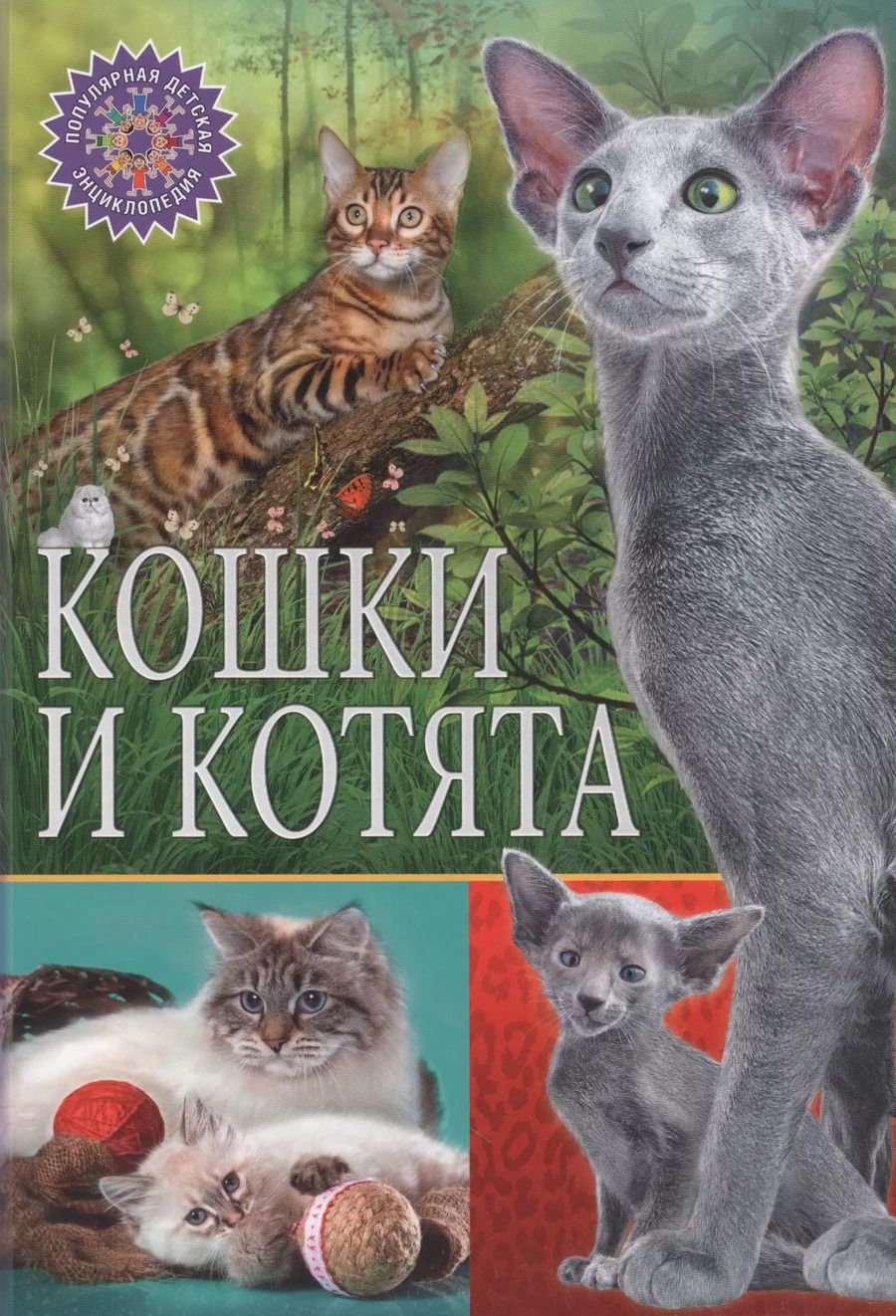 Обложка книги "Кошки и котята"