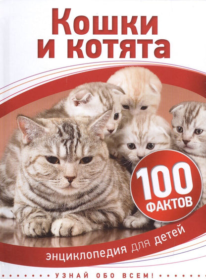 Обложка книги "Кошки и котята"