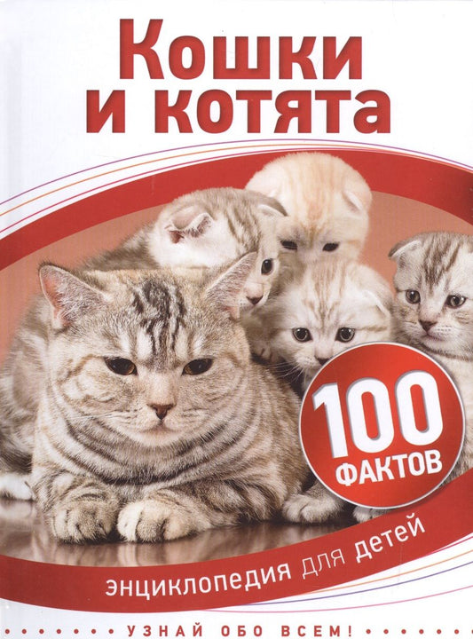 Обложка книги "Кошки и котята"