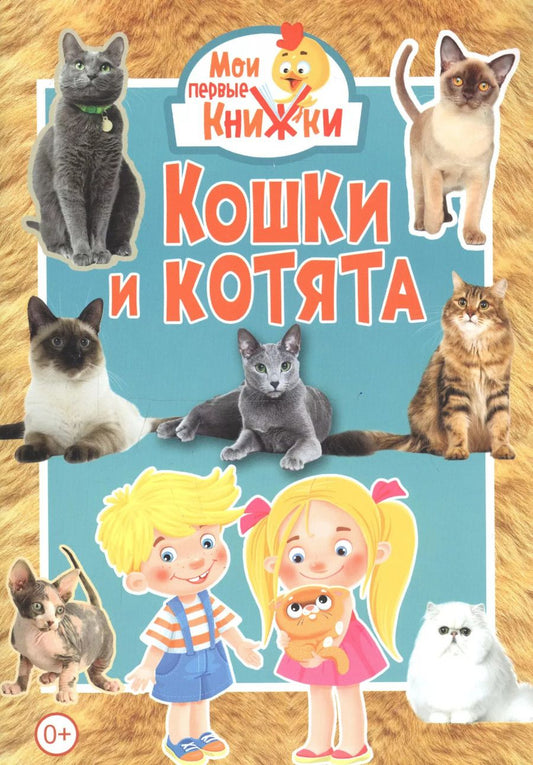 Обложка книги "Кошки и котята"