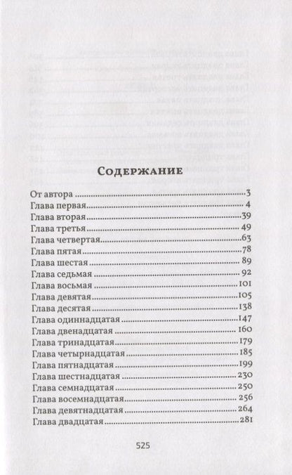 Фотография книги "Костин: Немец"