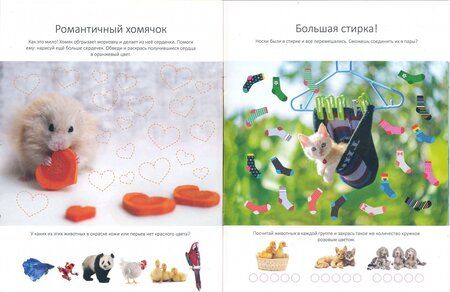 Фотография книги "Котенок. Играем и учимся"