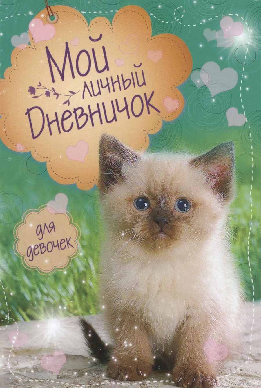 Обложка книги "Котик на зеленой обложке Дневничок"