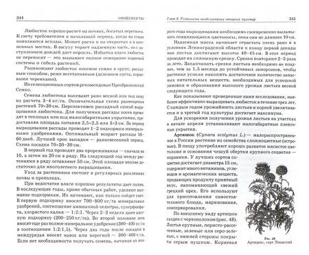 Фотография книги "Котов, Адрицкая, Пуць: Овощеводство. Учебное пособие"