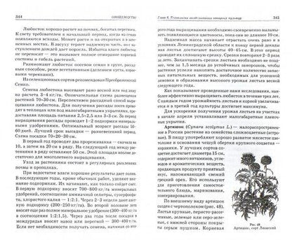 Фотография книги "Котов, Адрицкая, Пуць: Овощеводство. Учебное пособие"