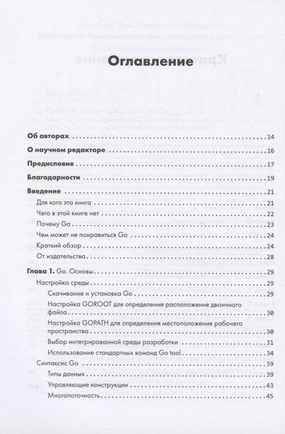 Фотография книги "Коттманн, Паттен, Стил: Black Hat Go. Программирование для хакеров и пентестеров"