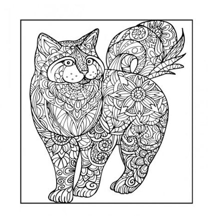 Фотография книги "Котятки - мягкие лапки. Рисунки для медитации"