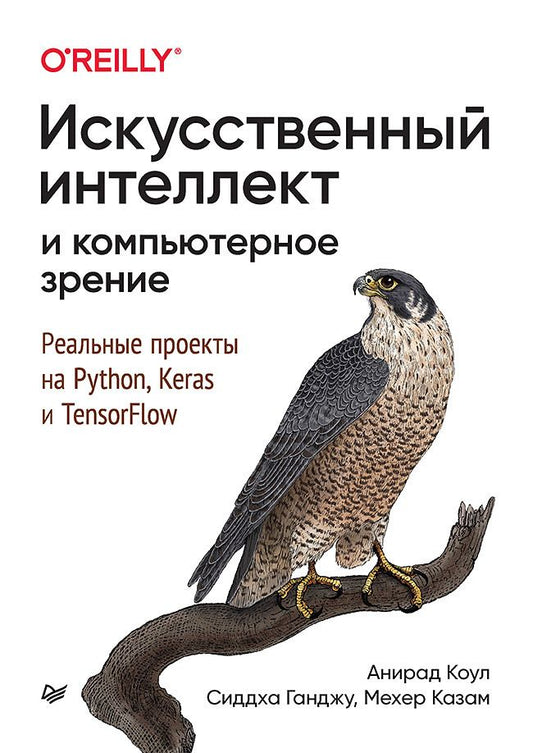 Обложка книги "Коул, Ганджу, Казам: Искусственный интеллект и компьютерное зрение. Реальные проекты на Python, Keras и TensorFlow"
