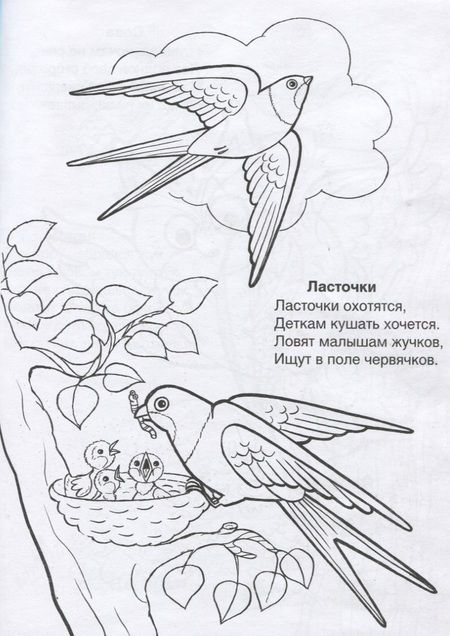 Фотография книги "Коваль: Кто летает в небе"