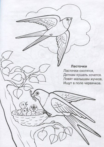 Фотография книги "Коваль: Кто летает в небе"