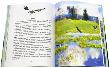 Фотография книги "Коваль, Скребицкий, Соколов-Микитов: Рассказы о природе для детей"
