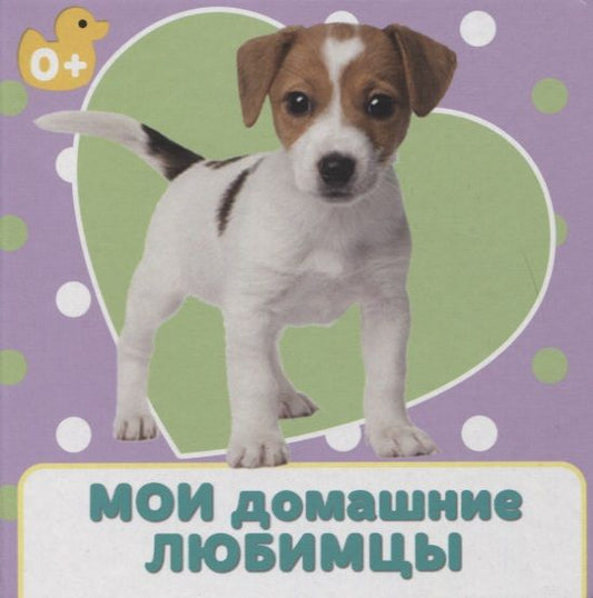 Обложка книги "Ковалева: Мои домашние любимцы"