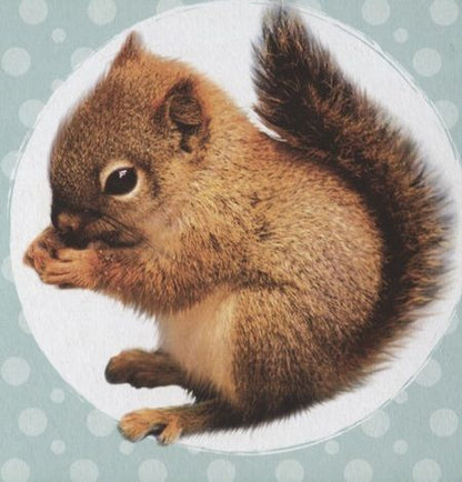 Фотография книги "Ковалева: Мои лесные друзья"