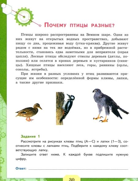 Фотография книги "Ковалева, Пентин, Никишова: Естественно-научная грамотность. Сборник эталонных заданий. Выпуск 1"