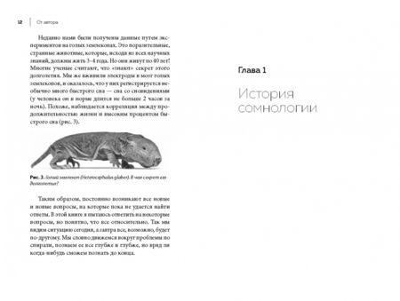 Фотография книги "Ковальзон: Маятник сна"